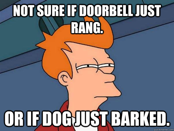 not sure if doorbell just rang. or if dog just barked.  Futurama Fry