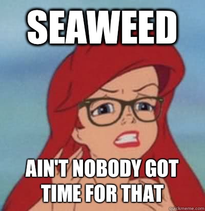 Seaweed Ain't nobody got time for that  Hipster Ariel