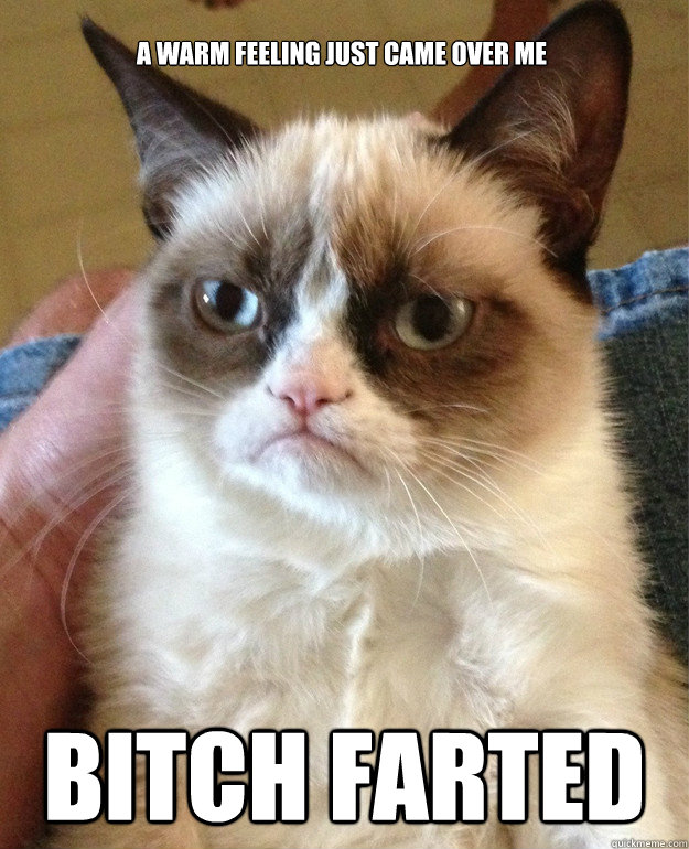 Bitch farted A warm feeling just came over me  Grumpy Cat