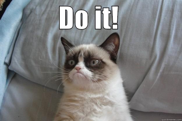 DO IT!  Grumpy Cat