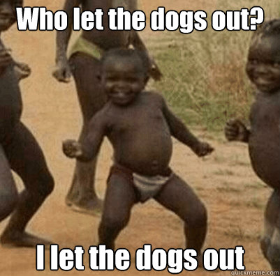 Who let the dogs out? I let the dogs out - Who let the dogs out? I let the dogs out  Third World Success Kid