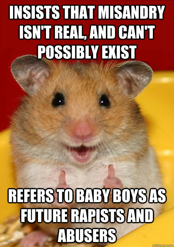 insists that misandry isn't real, and can't possibly exist refers to baby boys as future rapists and abusers   - insists that misandry isn't real, and can't possibly exist refers to baby boys as future rapists and abusers    Rationalization Hamster