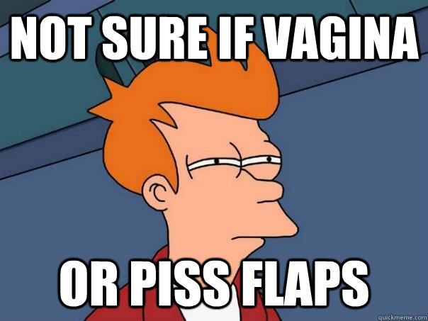 Not sure if Vagina  Or Piss Flaps - Not sure if Vagina  Or Piss Flaps  Futurama Fry