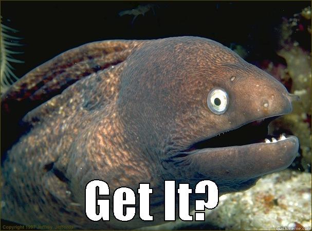  GET IT? Bad Joke Eel