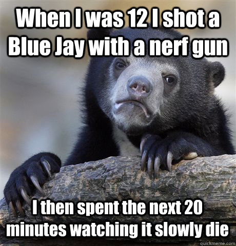 When I was 12 I shot a Blue Jay with a nerf gun I then spent the next 20 minutes watching it slowly die  Confession Bear