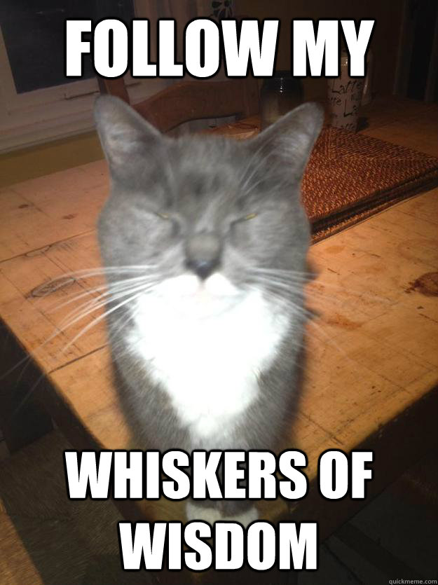 Follow my Whiskers of wisdom - Follow my Whiskers of wisdom  Misc