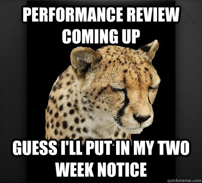 performance review coming up guess i'll put in my two week notice  Defeated Cheetah