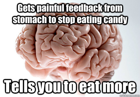 Gets painful feedback from stomach to stop eating candy Tells you to eat more  Scumbag Brain