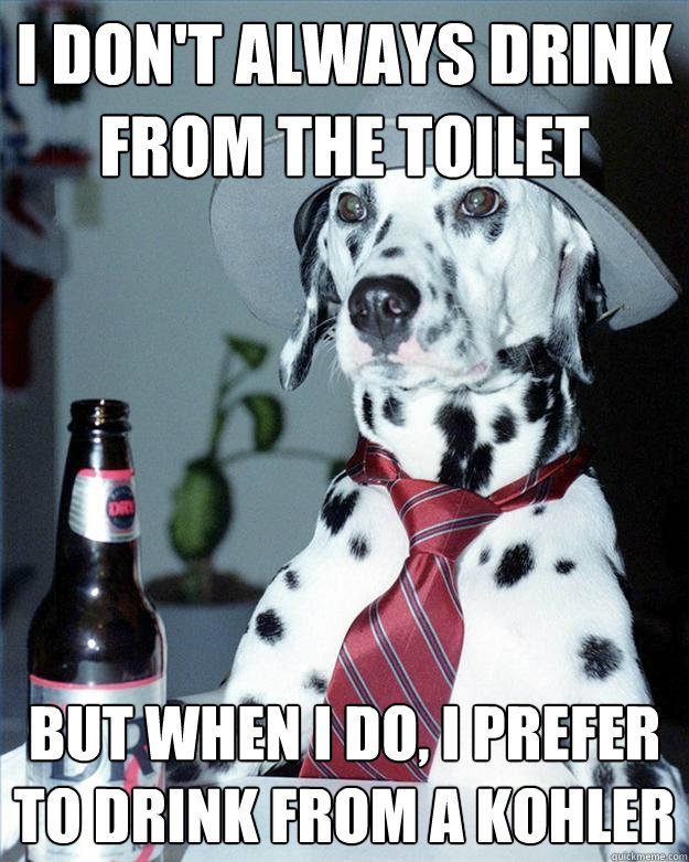 I don't always drink from the toilet But when I do, I prefer to drink from a kohler  The Most Interesting Dog in the World