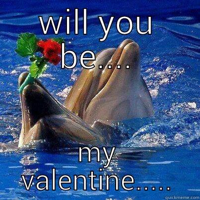 be my valentine - WILL YOU BE.... MY VALENTINE..... Misc