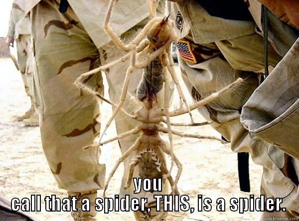 camel spiders -  YOU CALL THAT A SPIDER, THIS, IS A SPIDER. Misc
