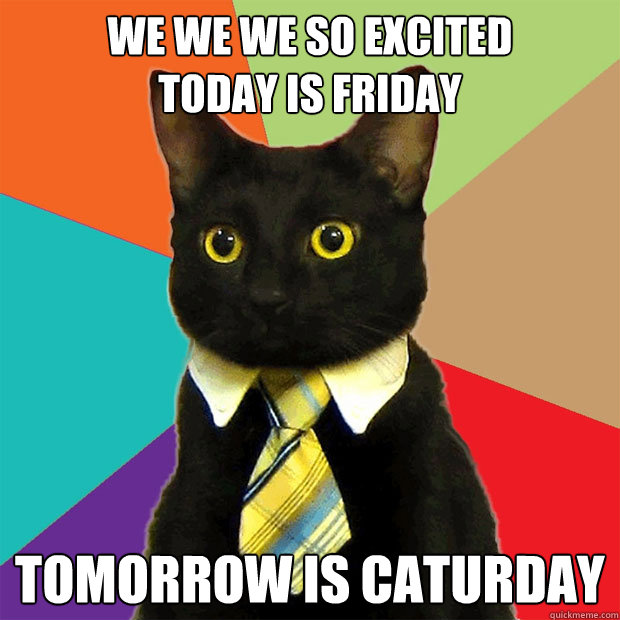 We we we so excited                      today is friday tomorrow is caturday  Business Cat