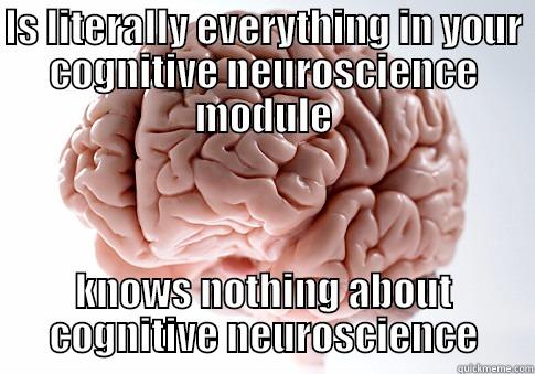 studying psychology - IS LITERALLY EVERYTHING IN YOUR COGNITIVE NEUROSCIENCE MODULE KNOWS NOTHING ABOUT COGNITIVE NEUROSCIENCE Scumbag Brain