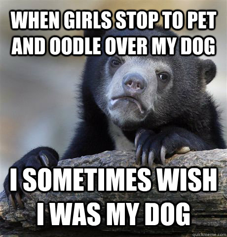 When girls stop to pet and oodle over my dog I sometimes wish I was my dog  Confession Bear