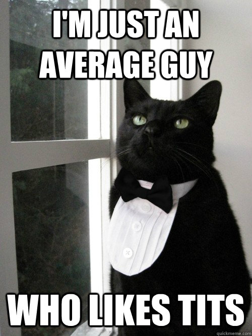 I'm just an average guy who likes tits  One Percent Cat