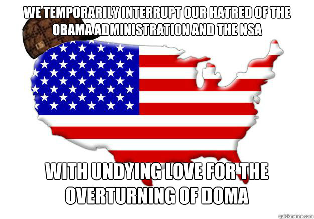 We temporarily interrupt our hatred of the Obama administration and the NSA  with undying love for the overturning of DOMA  Scumbag america