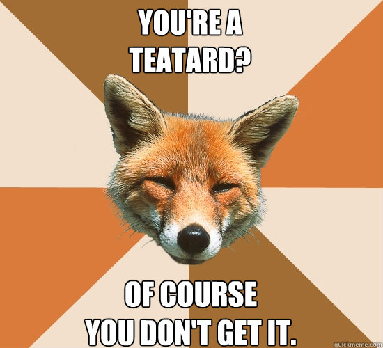 You're a 
Teatard? Of course 
you don't get it.  Condescending Fox