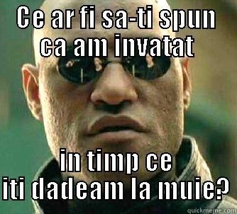 CE AR FI SA-TI SPUN CA AM INVATAT IN TIMP CE ITI DADEAM LA MUIE? Matrix Morpheus