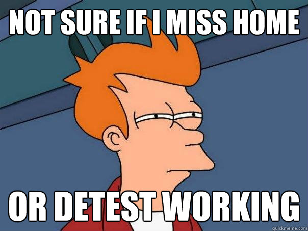 Not sure if I miss home Or detest working  Futurama Fry