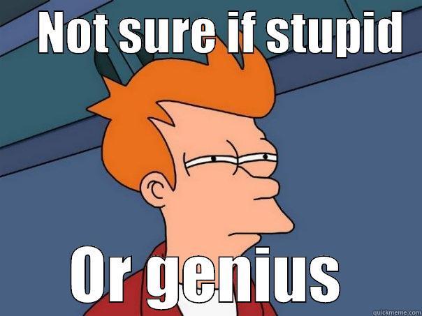 Not sure if stupid -     NOT SURE IF STUPID   OR GENIUS Futurama Fry