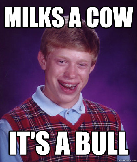 milks a cow it's a bull - milks a cow it's a bull  Bad Luck Brian