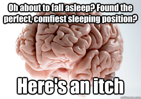 Oh about to fall asleep? Found the perfect, comfiest sleeping position? Here's an itch  Scumbag Brain