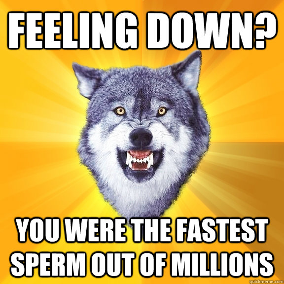 Feeling down? You were the fastest sperm out of millions  Courage Wolf