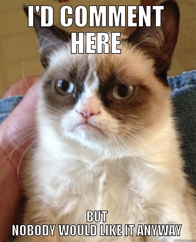 GRUMPY CAT - I'D COMMENT HERE BUT NOBODY WOULD LIKE IT ANYWAY Misc