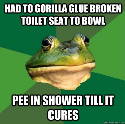 Had to Gorilla Glue broken toilet seat to bowl Pee in shower till it cures - Had to Gorilla Glue broken toilet seat to bowl Pee in shower till it cures  Foul Bachelor Frog