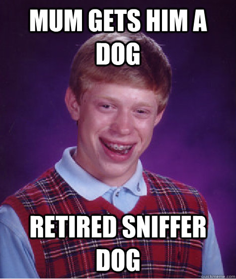 mum gets him a dog Retired sniffer dog  Bad Luck Brian