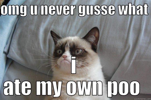 OMG U NEVER GUSSE WHAT  I ATE MY OWN POO  Grumpy Cat