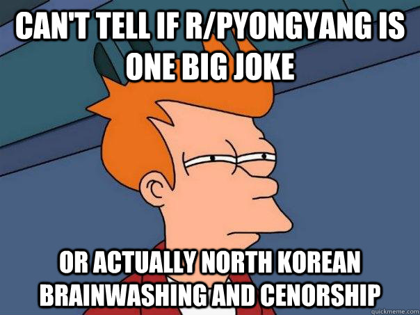 Can't tell if r/pyongyang is one big joke Or actually North Korean Brainwashing and cenorship  Futurama Fry