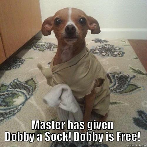  MASTER HAS GIVEN DOBBY A SOCK! DOBBY IS FREE! Misc