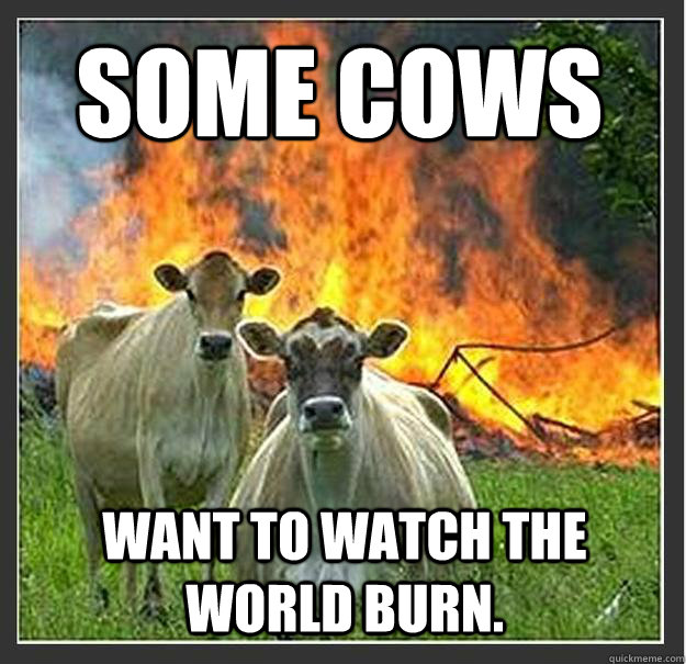 Some cows Want to watch the world burn. - Some cows Want to watch the world burn.  Evil cows