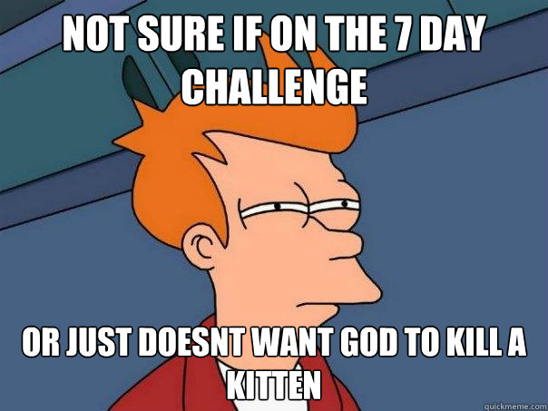 not sure if on the 7 day challenge or just doesnt want god to kill a kitten - not sure if on the 7 day challenge or just doesnt want god to kill a kitten  Futurama Fry