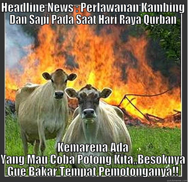 Perlawanan Di Hari Raya Qurban - HEADLINE NEWS : PERLAWANAN KAMBING DAN SAPI PADA SAAT HARI RAYA QURBAN KEMARENA ADA YANG MAU COBA POTONG KITA,,BESOKNYA GUE BAKAR TEMPAT PEMOTONGANYA!! Evil cows