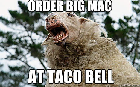 order big mac at taco bell  Meth Sheep