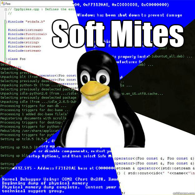 Soft Mites  Computer Science Penguin