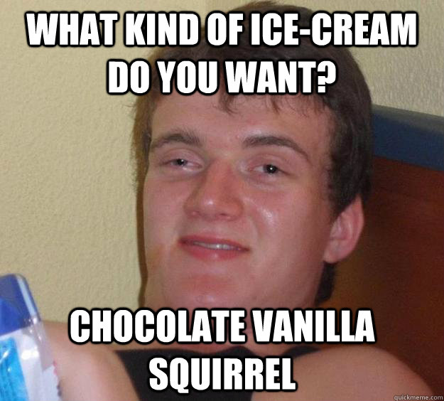 What kind of ice-cream do you want? Chocolate vanilla squirrel  10 Guy