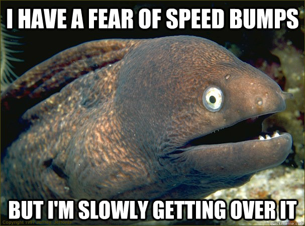 i have a fear of speed bumps but i'm slowly getting over it - i have a fear of speed bumps but i'm slowly getting over it  Bad Joke Eel