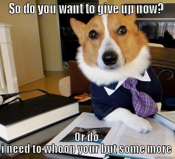 SO DO YOU WANT TO GIVE UP NOW? OR DO I NEED TO WHOOP YOUR BUT SOME MORE Lawyer Dog