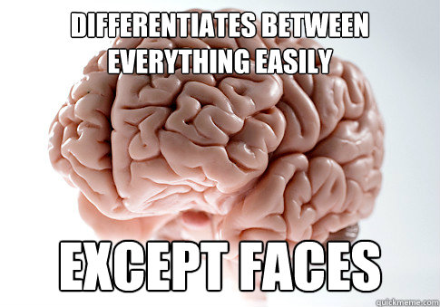 differentiates between everything easily except faces  Scumbag Brain