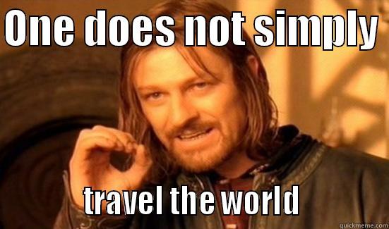 ONE DOES NOT SIMPLY             TRAVEL THE WORLD            Boromir