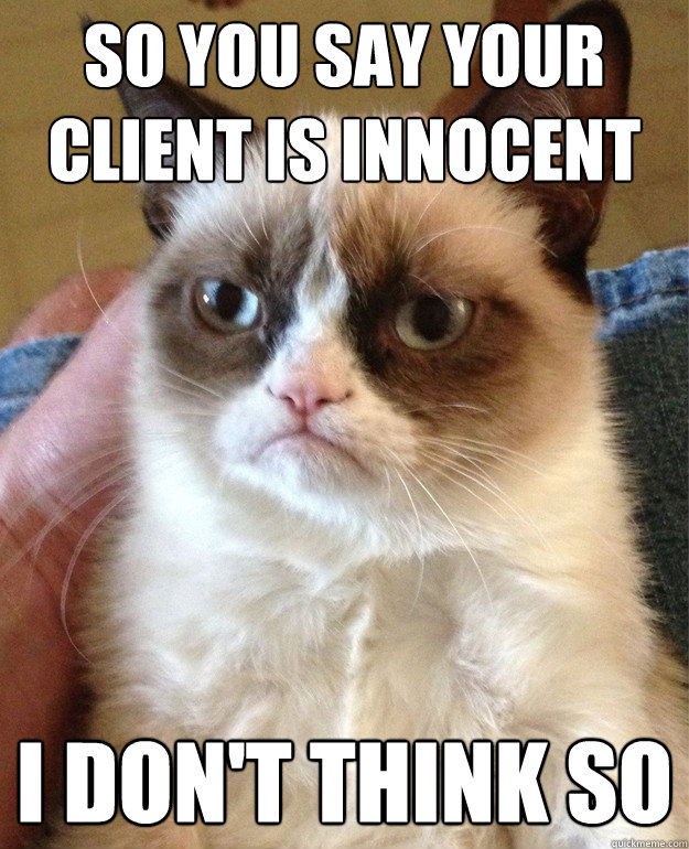 SO YOU SAY YOUR CLIENT IS INNOCENT I DON'T THINK SO  Grumpy Cat