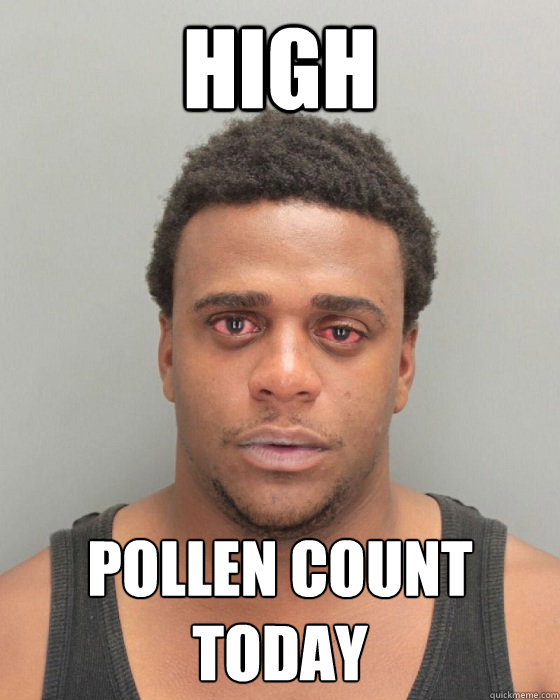 High Pollen count today - High Pollen count today  Misc