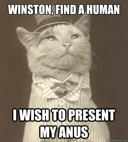 Winston, find a human I wish to present my anus  Aristocat