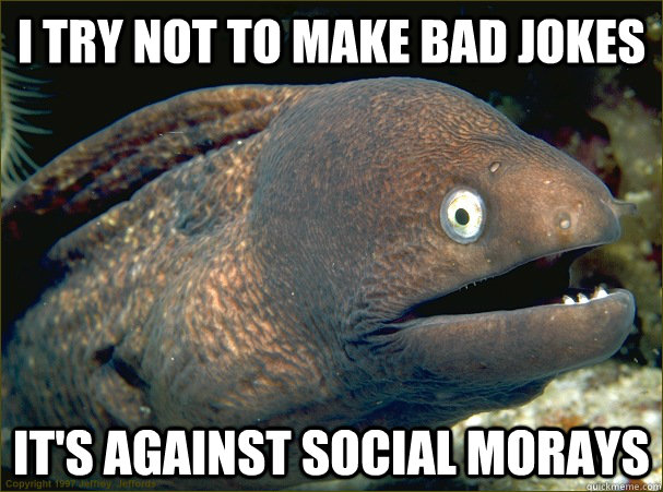 I try not to make bad jokes it's against social morays  Bad Joke Eel