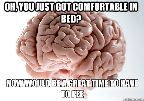 Oh, you just got comfortable in bed? Now would be a great time to have to pee - Oh, you just got comfortable in bed? Now would be a great time to have to pee  Scumbag Brain