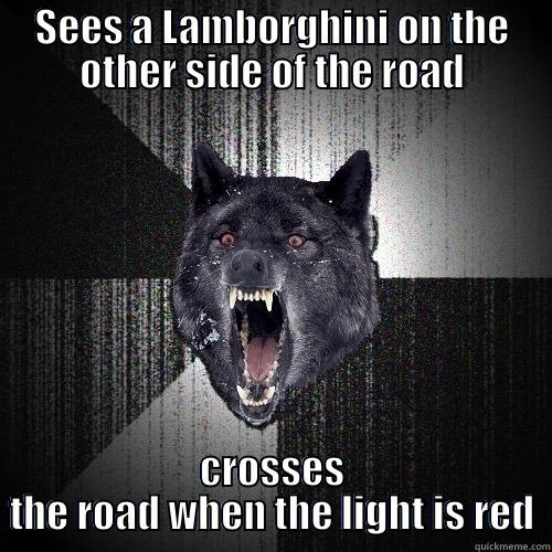 SEES A LAMBORGHINI ON THE OTHER SIDE OF THE ROAD CROSSES THE ROAD WHEN THE LIGHT IS RED Insanity Wolf