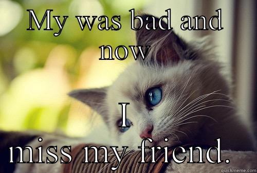 MY WAS BAD AND NOW I MISS MY FRIEND.  First World Problems Cat